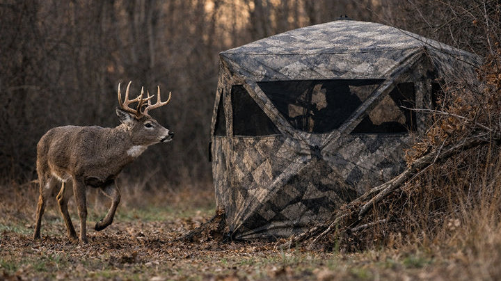 How Deer Learn and Adapt to Ground Blinds