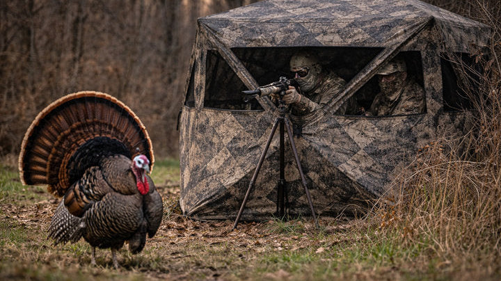 Turkey Hunting from a Blind: Tips for Close-Range Shots