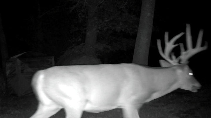 Match Your Hunting Style: The Complete Guide to Choosing the Right Blind