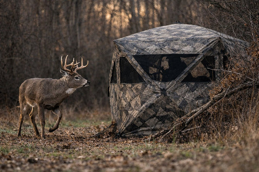 How Deer Learn and Adapt to Ground Blinds
