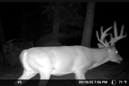 Match Your Hunting Style: The Complete Guide to Choosing the Right Blind