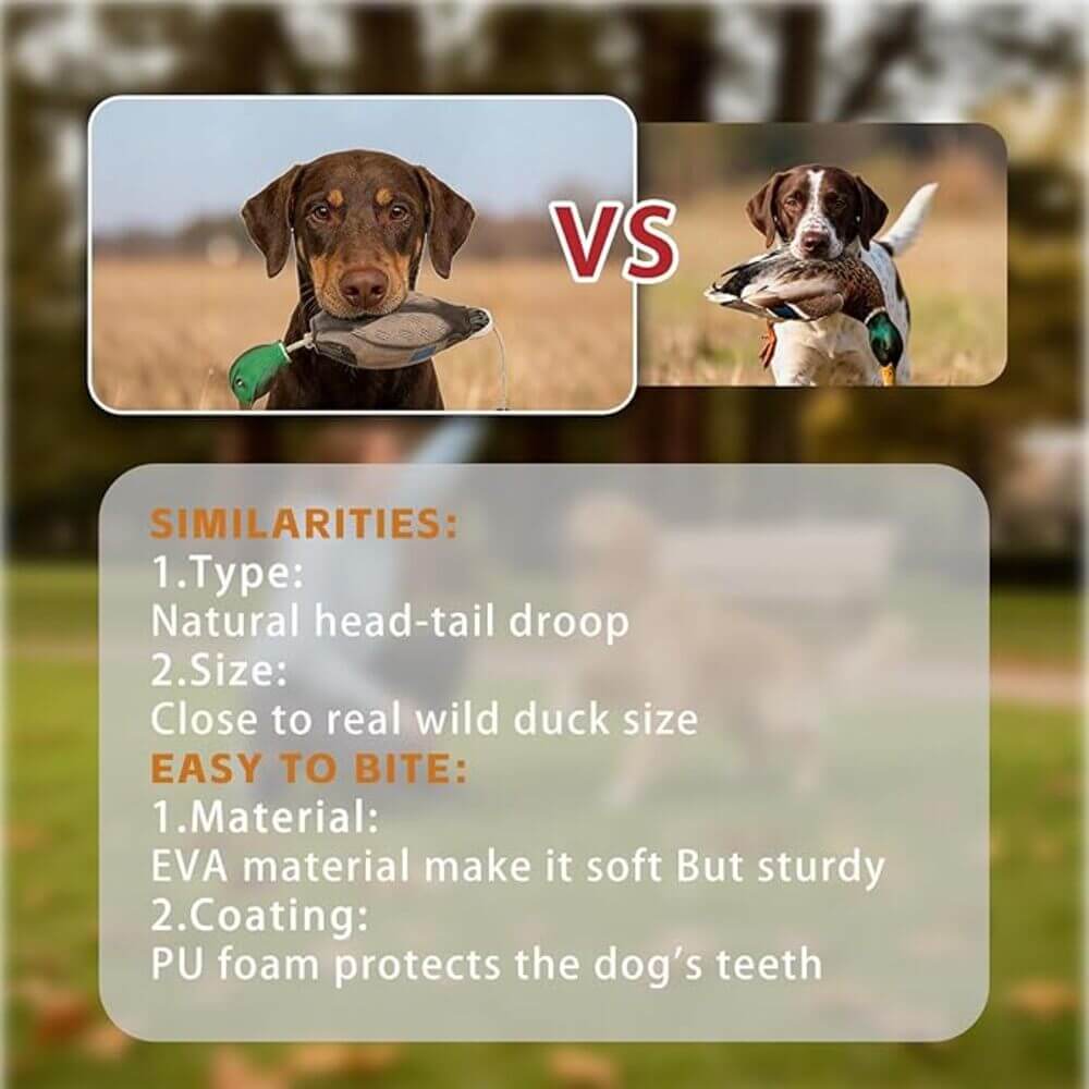 FUNHORUN DrakeMate Mallard Decoy Pair