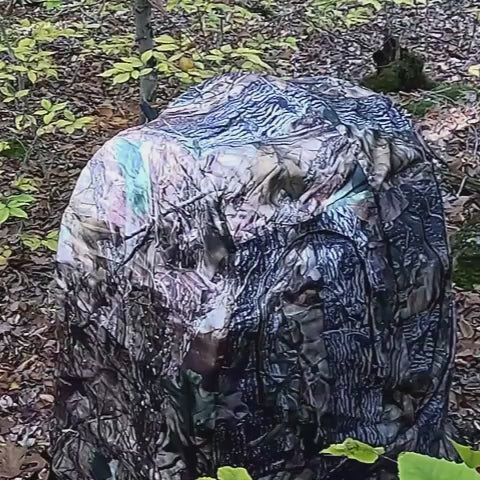 Striker See Through Hunting ChairPod